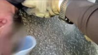 VID20250619000540748001.mp4