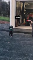 SaveClip.AppAQNqkAUgbbrF2y4L-waAZpJZUu21tw1KTIeSeWvWCblTn20P0jaPdG2SGfRhKs3enWgZ20kqTyCmn-UmazpaMkATot1umpkq6fadmY.mp4