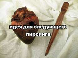 IMG20250218210404349.jpg