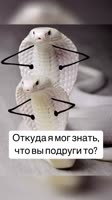 -68751348770498863.mp4