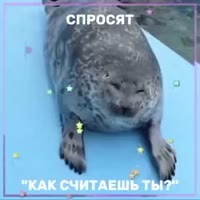 1748346909394.mp4