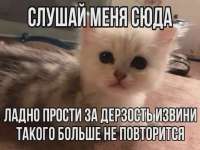 e0af17d880bfa8f051b55a3f7214e563.webp