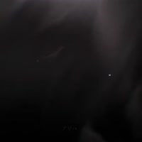 VID20250526234156005.mp4