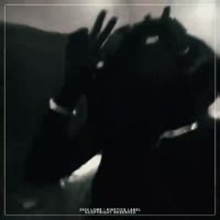 VID20250611192234598.mp4