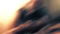 VID20250706122842036.mp4