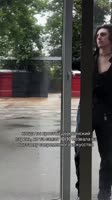 8838882.mp4