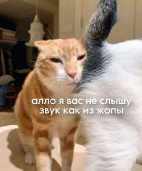 1748286264718.jpg
