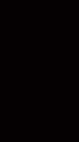greendragoninn2025-05-15-22-17-061747336626568.mp4