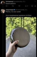 IMG3727.jpeg