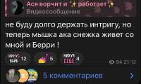 IMG3768.jpeg