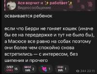 IMG3774.jpeg