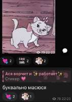 IMG3775.jpeg