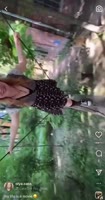 -7077111622023742338.mp4