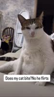 sssgramnt3oZsdThc2025-06-08-22-31-13.mp4