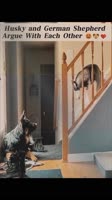 SaveClip.AppAQNf86xLg-b6NjVMRdUqIWUvRqT8GhotCOyGvnWlzHGqmRgY7kvdKnShnngwM1DhoJ7rR-5emwjerKO4v6HeTx-5g3mgcRLD4d0I4.mp4