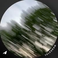 -4658155379331532397.mp4