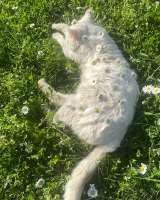 IMG4190.jpeg