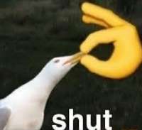 shut.jpg