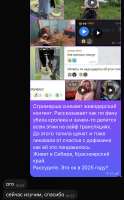 IMG4337.jpeg