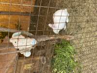 IMG8018.jpeg