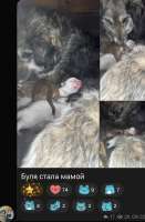 IMG4353.jpeg