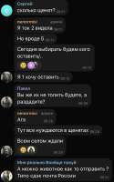 IMG4355.jpeg
