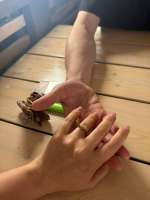 IMG4464.jpeg