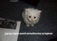 IMG20230710110609926.jpg