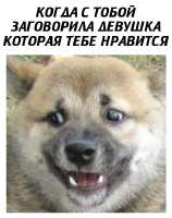 eJn6VHE08-U.jpg