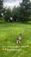 2078798965038439359.mp4