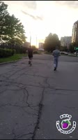 1.mp4