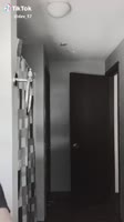 фтм1.webm