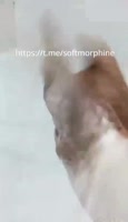это (1).mp4