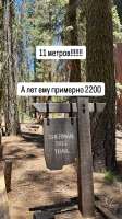 IMG5098.jpeg