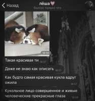 IMG3905.jpeg