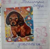 IMG5134.jpeg