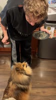 Gskjfd.MOV