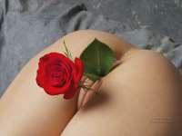 i.webp