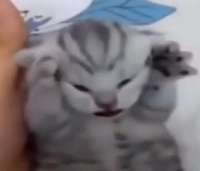 1750454482606.jpg