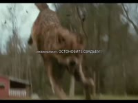 video2025-06-2402-23-56.mp4