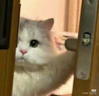 GiJAH8jXcAAjB8a.jpeg