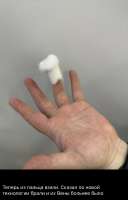 IMG6510.jpeg