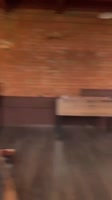 2897159848691943818.mp4