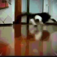 58a37011ff035958f8cceb8d3ebf806f.mp4