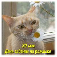 a9da06b11b7eb06c534a3ab67f77eb91.jpg