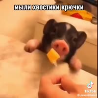 VID20250628073530529.mp4