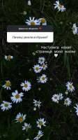 IMG6933.jpeg
