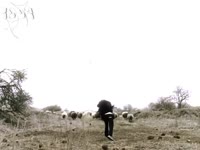 hhgg.mp4