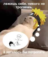 IMG20250724172629082.jpg