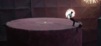 8416076303101.mp4